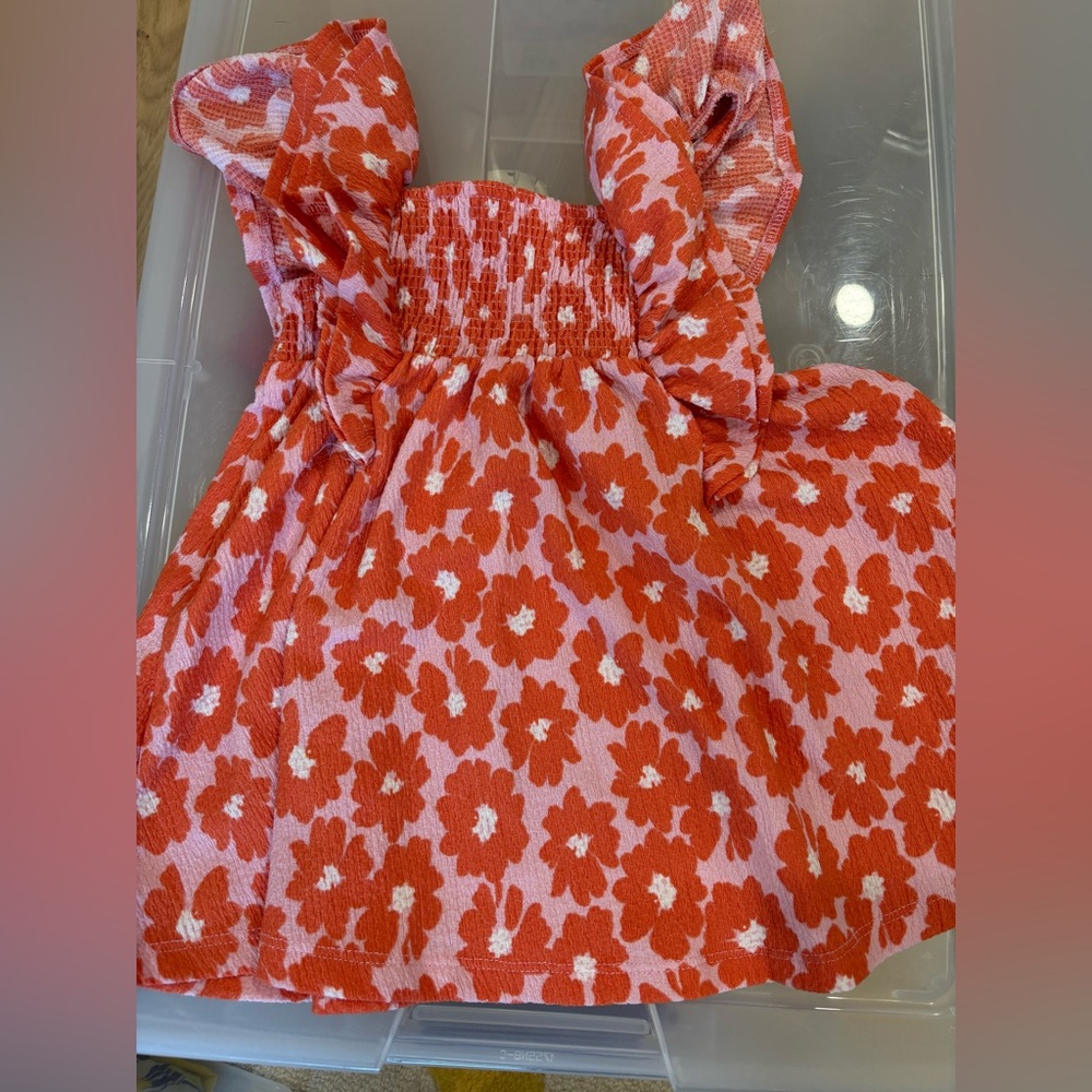 Zara Floral Print Dress